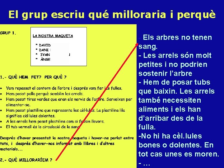 El grup escriu qué milloraria i perquè - Els arbres no tenen sang. -