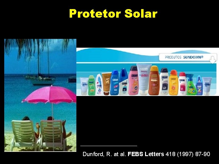 Protetor Solar Dunford, R. at al. FEBS Letters 418 (1997) 87 -90 Protetor Solar Dunford, R. at al. FEBS Letters 418 (1997) 87 -90