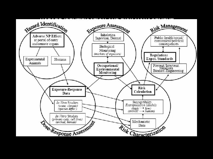 HAZARD IDENTIFICATION AND RISK MANAGEMENT HAZARD IDENTIFICATION AND RISK MANAGEMENT