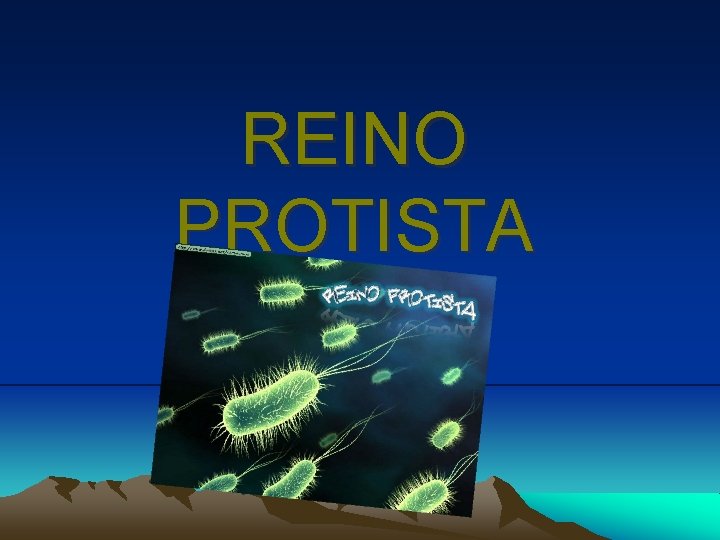 REINO PROTISTA 