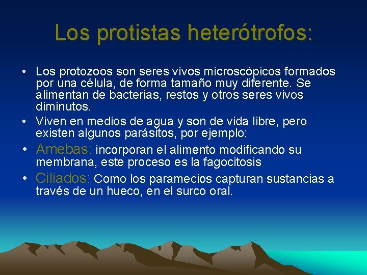 Los protistas heterótrofos: • Los protozoos son seres vivos microscópicos formados por una célula,