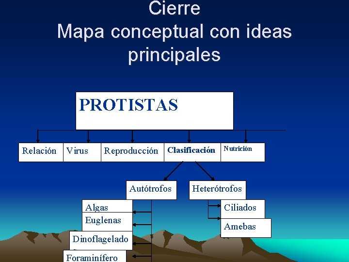 Cierre Mapa conceptual con ideas principales PROTISTAS Relación Virus Reproducción Clasificación Autótrofos Algas Euglenas