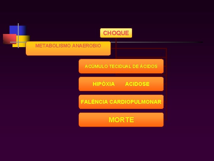 CHOQUE METABOLISMO ANAEROBIO ACÚMULO TECIDUAL DE ÁCIDOS HIPÓXIA ACIDOSE FALÊNCIA CARDIOPULMONAR MORTE 