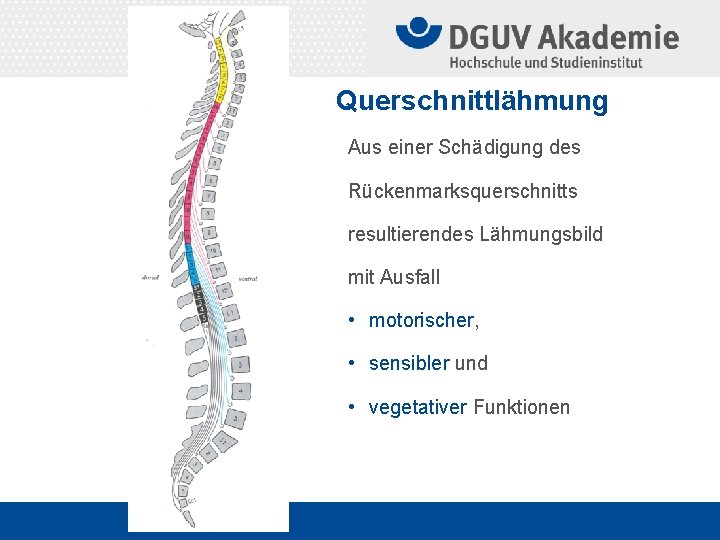 Querschnittlähmung Aus einer Schädigung des Rückenmarksquerschnitts resultierendes Lähmungsbild mit Ausfall • motorischer, • sensibler