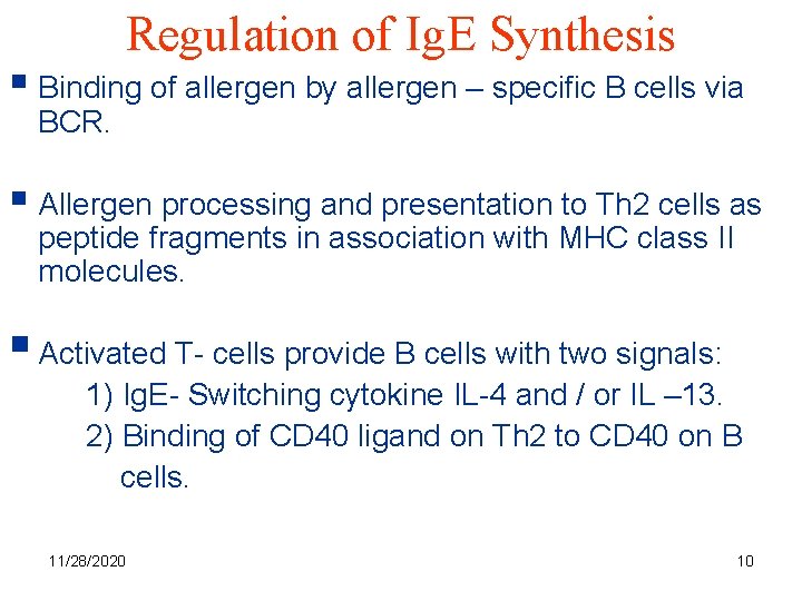 Regulation of Ig. E Synthesis § Binding of allergen by allergen – specific B