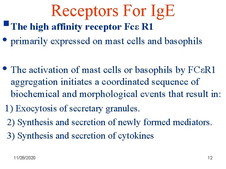 Receptors For Ig. E §The high affinity receptor Fcε R 1 • primarily expressed