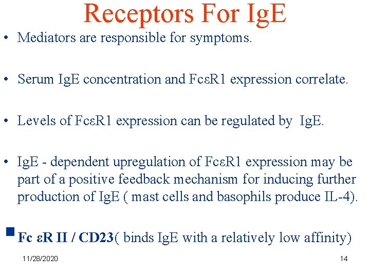 Receptors For Ig. E • Mediators are responsible for symptoms. • Serum Ig. E