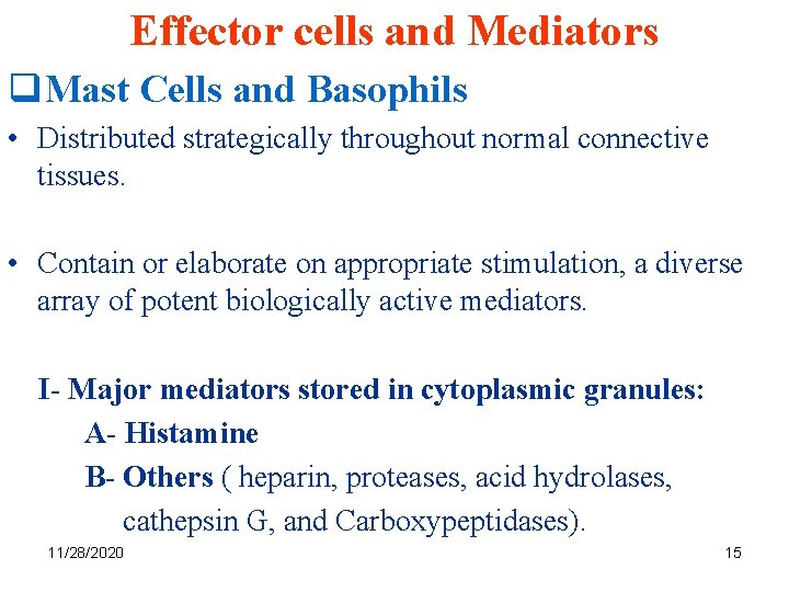 Effector cells and Mediators q. Mast Cells and Basophils • Distributed strategically throughout normal