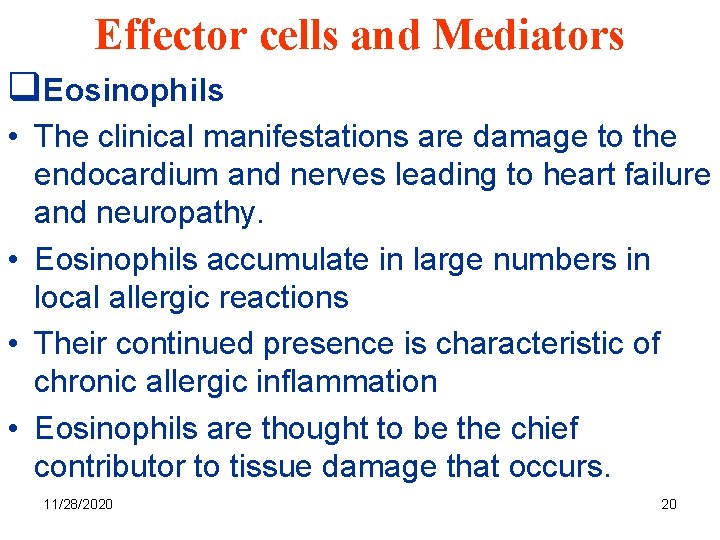 Effector cells and Mediators q. Eosinophils • The clinical manifestations are damage to the