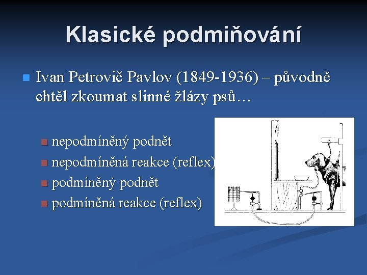 Klasické podmiňování Ivan Petrovič Pavlov (1849 -1936) – původně chtěl zkoumat slinné žlázy psů…