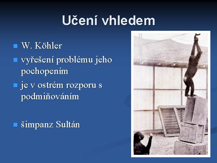 Učení vhledem W. Köhler vyřešení problému jeho pochopením je v ostrém rozporu s podmiňováním
