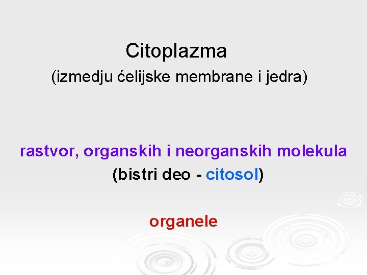 Citoplazma (izmedju ćelijske membrane i jedra) rastvor, organskih i neorganskih molekula (bistri deo -