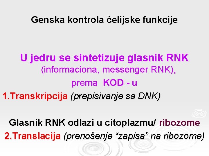 Genska kontrola ćelijske funkcije U jedru se sintetizuje glasnik RNK (informaciona, messenger RNK), prema
