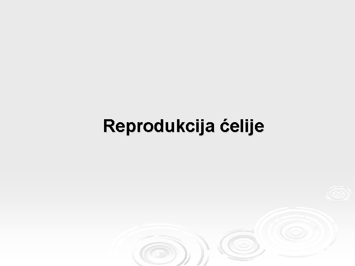 Reprodukcija ćelije 