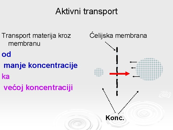 Aktivni transport Transport materija kroz membranu Ćelijska membrana od manje koncentracije ka većoj koncentraciji