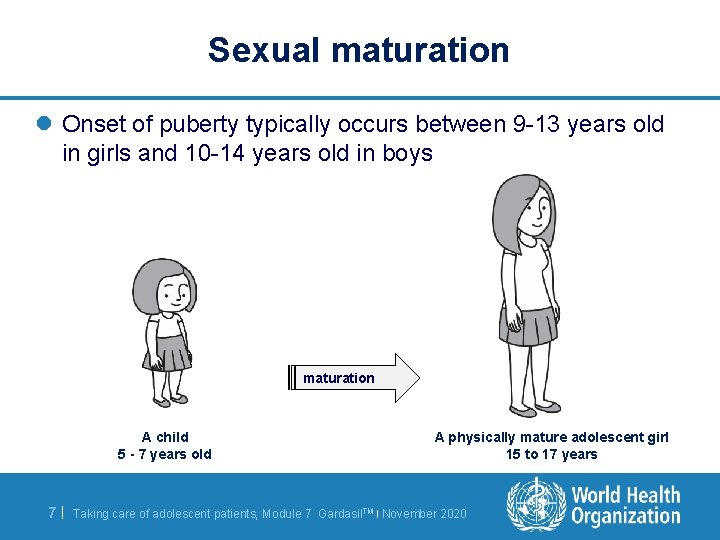 Sexual maturation l Onset of puberty typically occurs between 9 -13 years old in