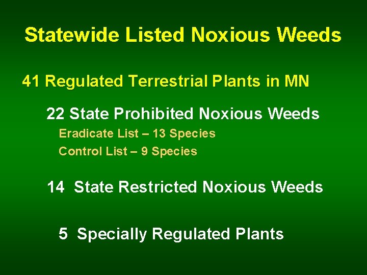 Statewide Listed Noxious Weeds 41 Regulated Terrestrial Plants in MN 22 State Prohibited Noxious