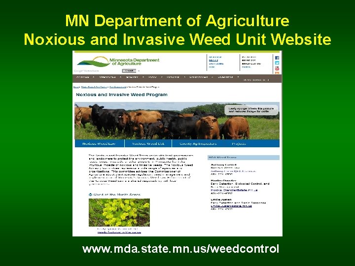 MN Department of Agriculture Noxious and Invasive Weed Unit Website www. mda. state. mn.