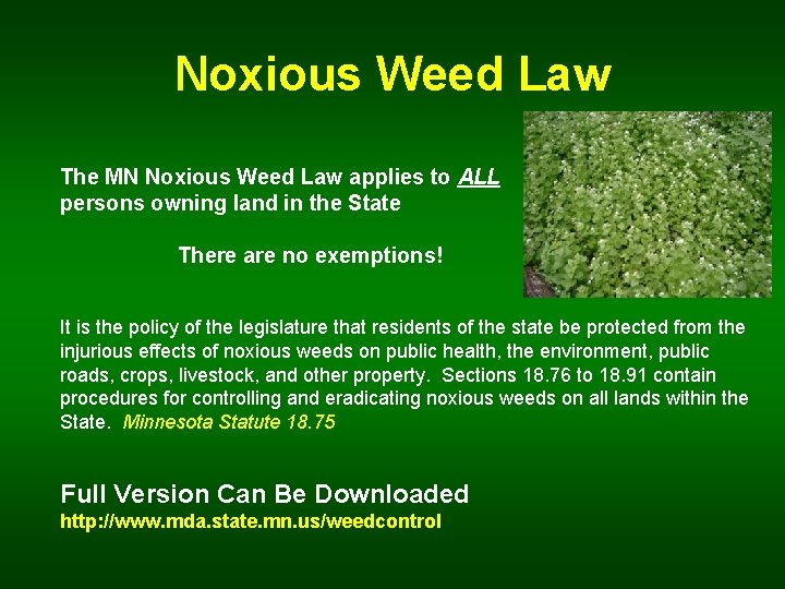 Noxious Weed Law The MN Noxious Weed Law applies to ALL persons owning land