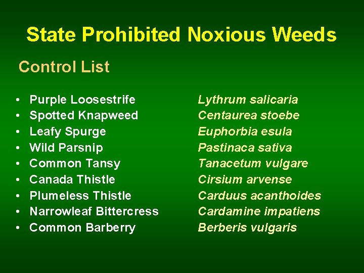 State Prohibited Noxious Weeds Control List • • • Purple Loosestrife Spotted Knapweed Leafy