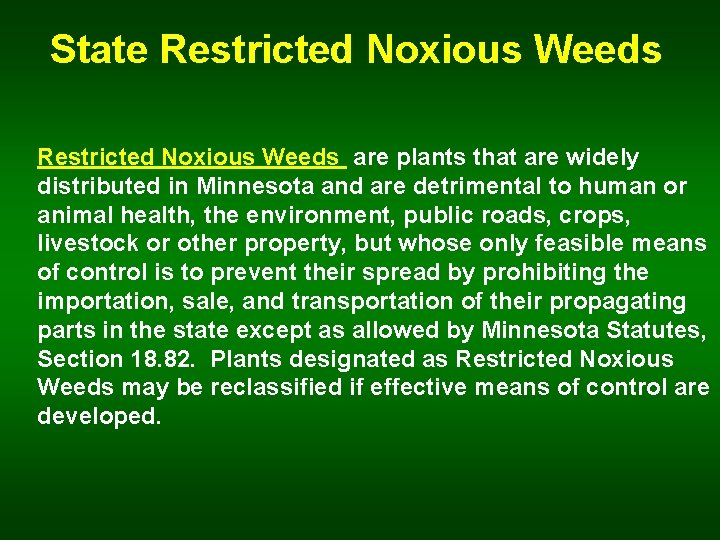 State Restricted Noxious Weeds are plants that are widely distributed in Minnesota and are