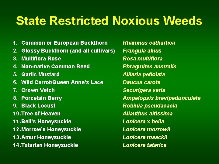 State Restricted Noxious Weeds 1. Common or European Buckthorn 2. Glossy Buckthorn (and all