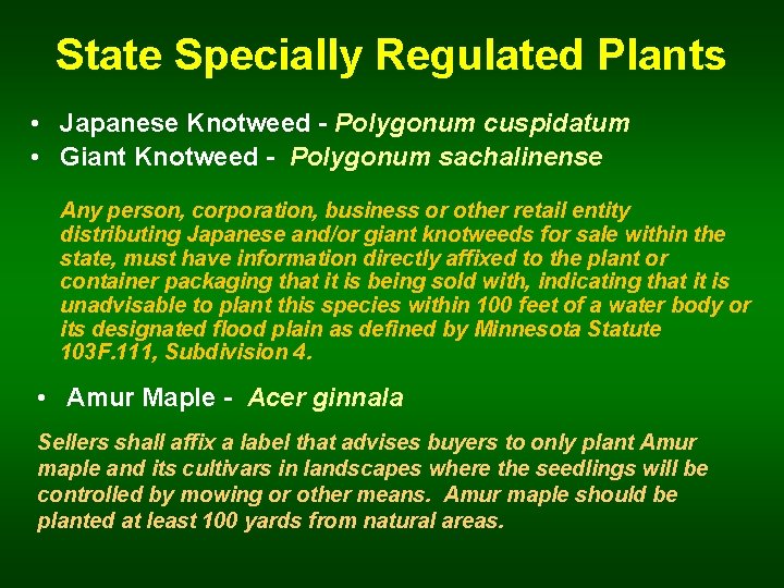 State Specially Regulated Plants • Japanese Knotweed - Polygonum cuspidatum • Giant Knotweed -