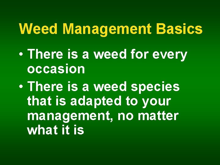 Weed Management Basics • There is a weed for every occasion • There is