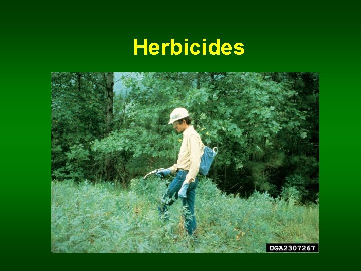  Herbicides 