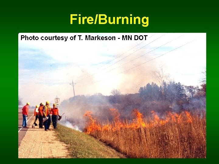 Fire/Burning 
