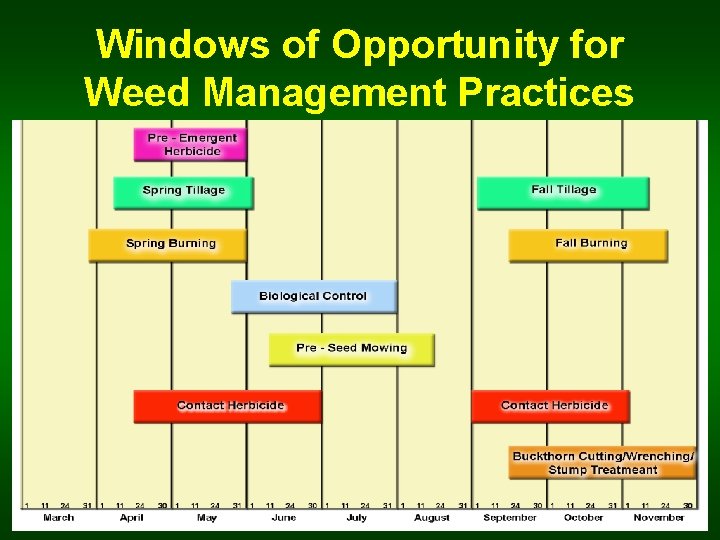 Windows of Opportunity for Weed Management Practices 
