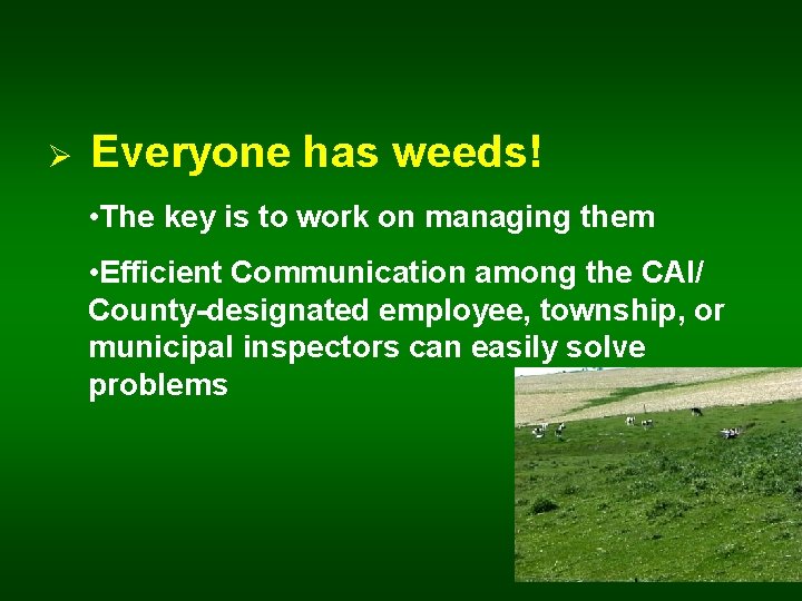 Ø Everyone has weeds! • The key is to work on managing them •