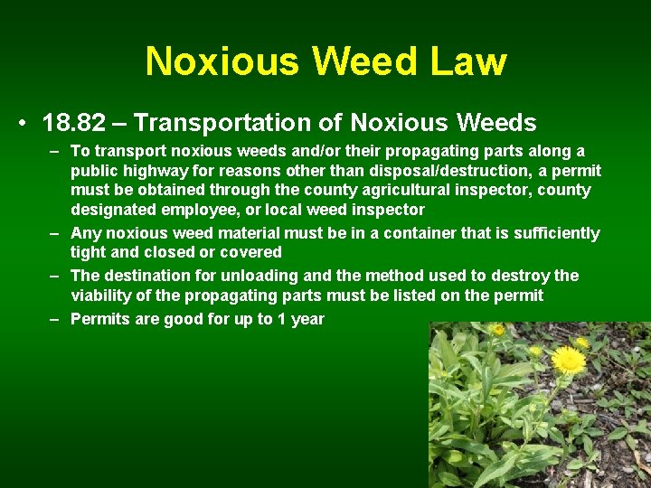 Noxious Weed Law • 18. 82 – Transportation of Noxious Weeds – To transport