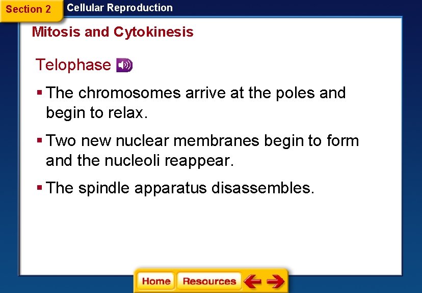 Section 2 Cellular Reproduction Mitosis and Cytokinesis Telophase § The chromosomes arrive at the