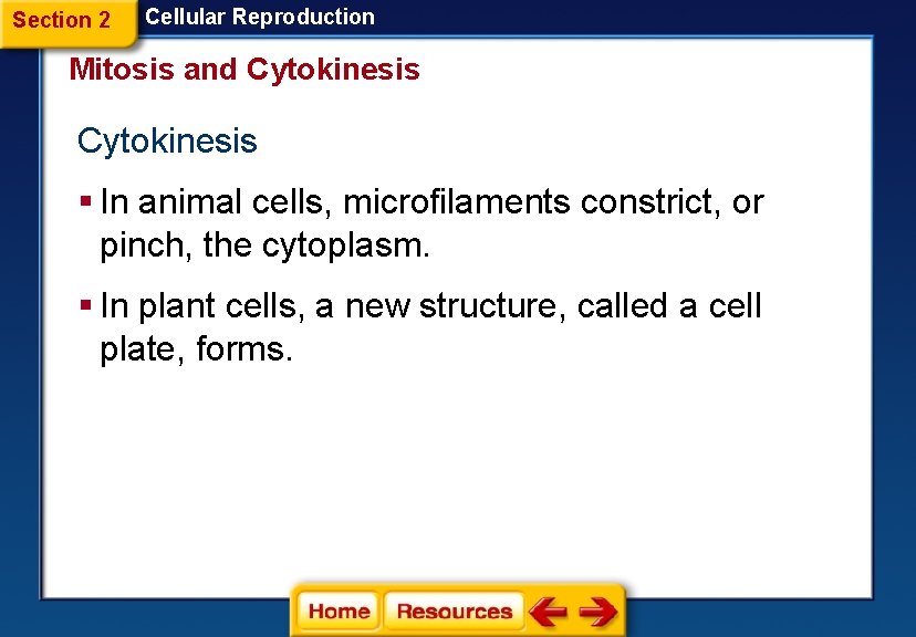 Section 2 Cellular Reproduction Mitosis and Cytokinesis § In animal cells, microfilaments constrict, or