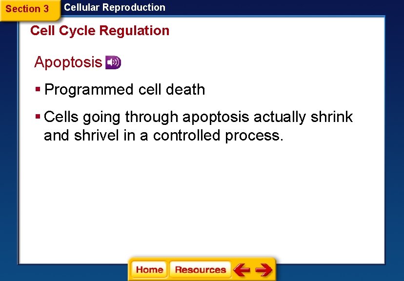 Section 3 Cellular Reproduction Cell Cycle Regulation Apoptosis § Programmed cell death § Cells