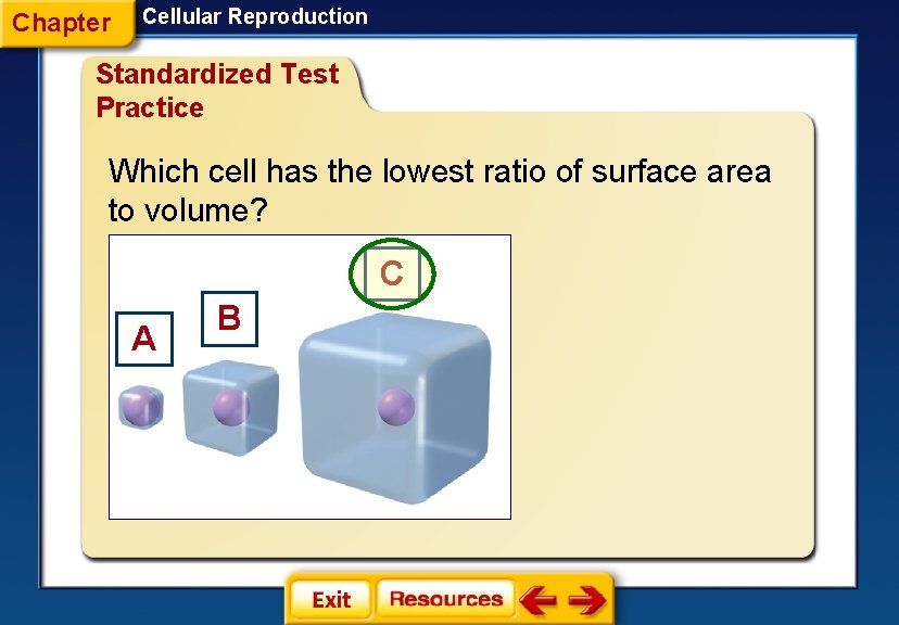 Chapter Cellular Reproduction Standardized Test Practice Which cell has the lowest ratio of surface