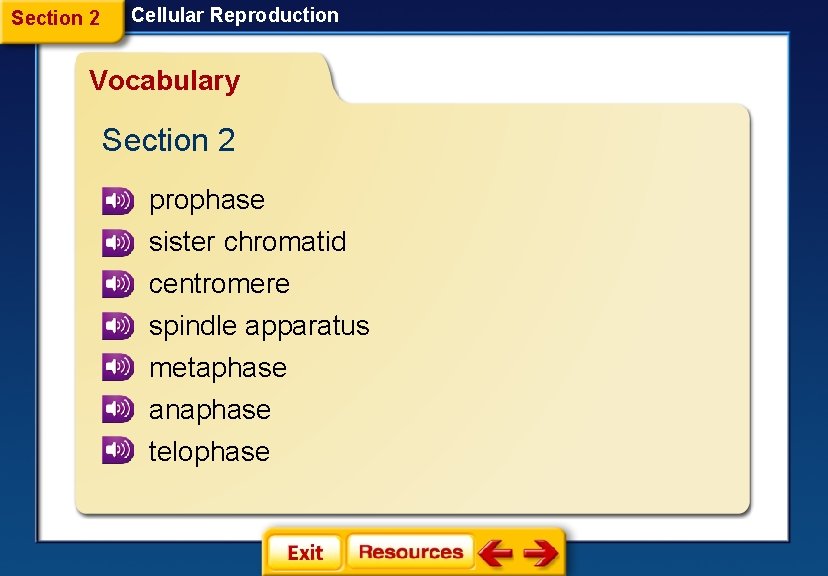 Section 2 Cellular Reproduction Vocabulary Section 2 prophase sister chromatid centromere spindle apparatus metaphase