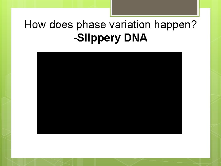 How does phase variation happen? -Slippery DNA 