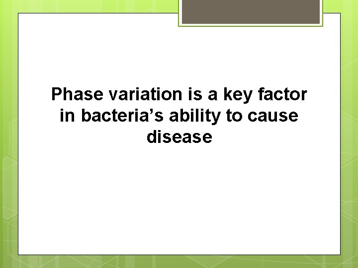 Phase variation is a key factor in bacteria’s ability to cause disease 