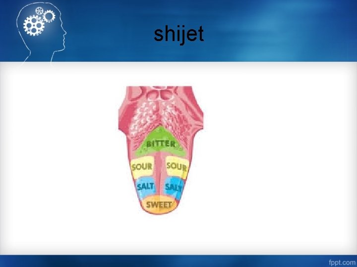 shijet 