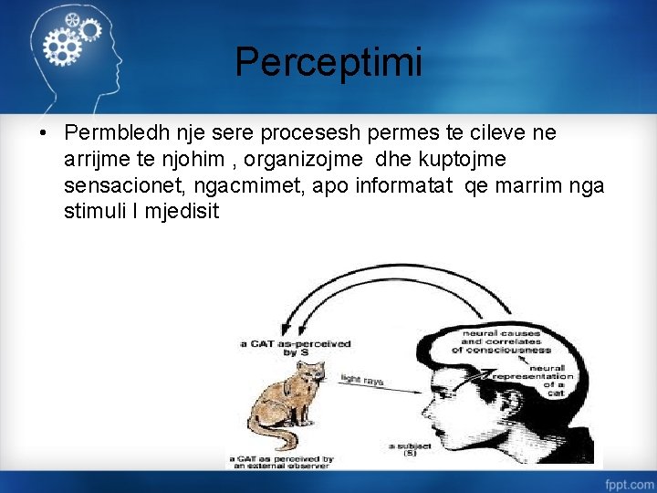 Perceptimi • Permbledh nje sere procesesh permes te cileve ne arrijme te njohim ,