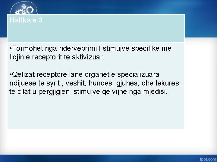 Hallka e 3 • Formohet nga nderveprimi I stimujve specifike me llojin e receptorit