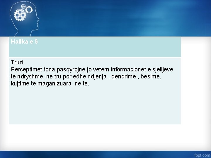 Hallka e 5 Truri. Perceptimet tona pasqyrojne jo vetem informacionet e sjelljeve te ndryshme