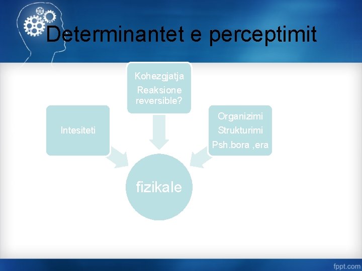 Determinantet e perceptimit Kohezgjatja Reaksione reversible? Organizimi Intesiteti Strukturimi Psh. bora , era fizikale