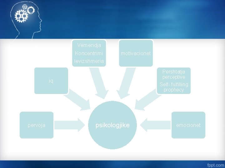 Vemendja Koncentrimi motivacionet levizshmeria Pershtatja perceptive iq pervoja Self- fulfilling prophecy psikologjike emocionet 
