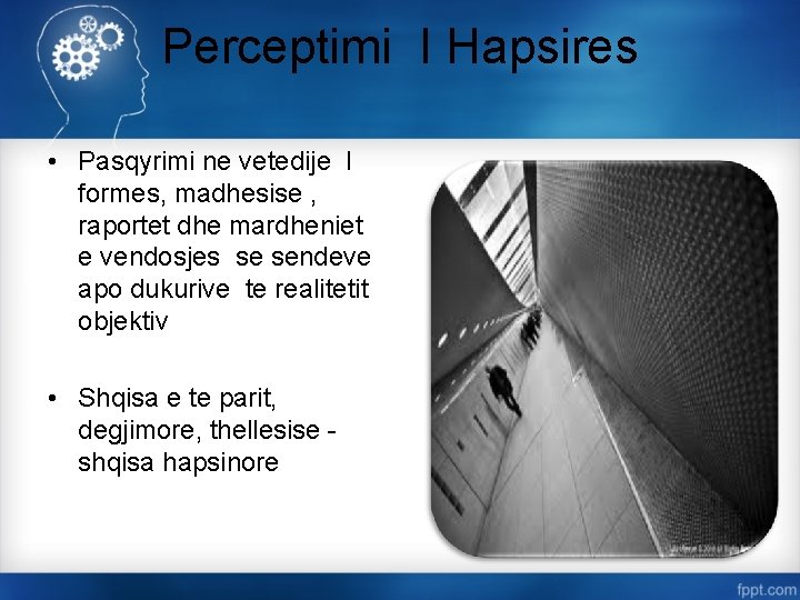 Perceptimi I Hapsires • Pasqyrimi ne vetedije I formes, madhesise , raportet dhe mardheniet