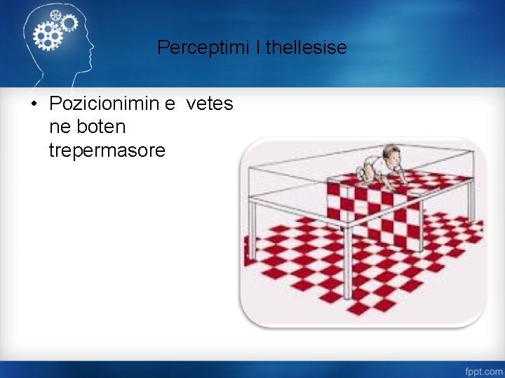 Perceptimi I thellesise • Pozicionimin e vetes ne boten trepermasore 