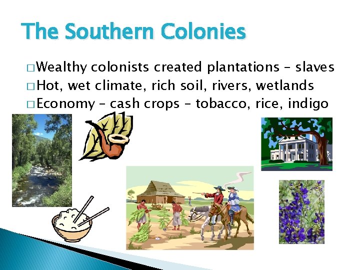 The Southern Colonies � Wealthy colonists created plantations – slaves � Hot, wet climate,