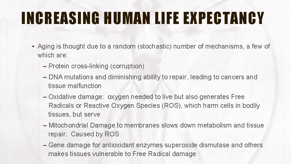 INCREASING HUMAN LIFE EXPECTANCY • Aging is thought due to a random (stochastic) number
